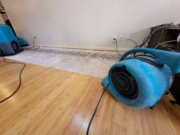 Professional Basement Flood Cleanup technician working in Marietta, OH